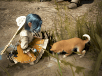 犬とたわむれ